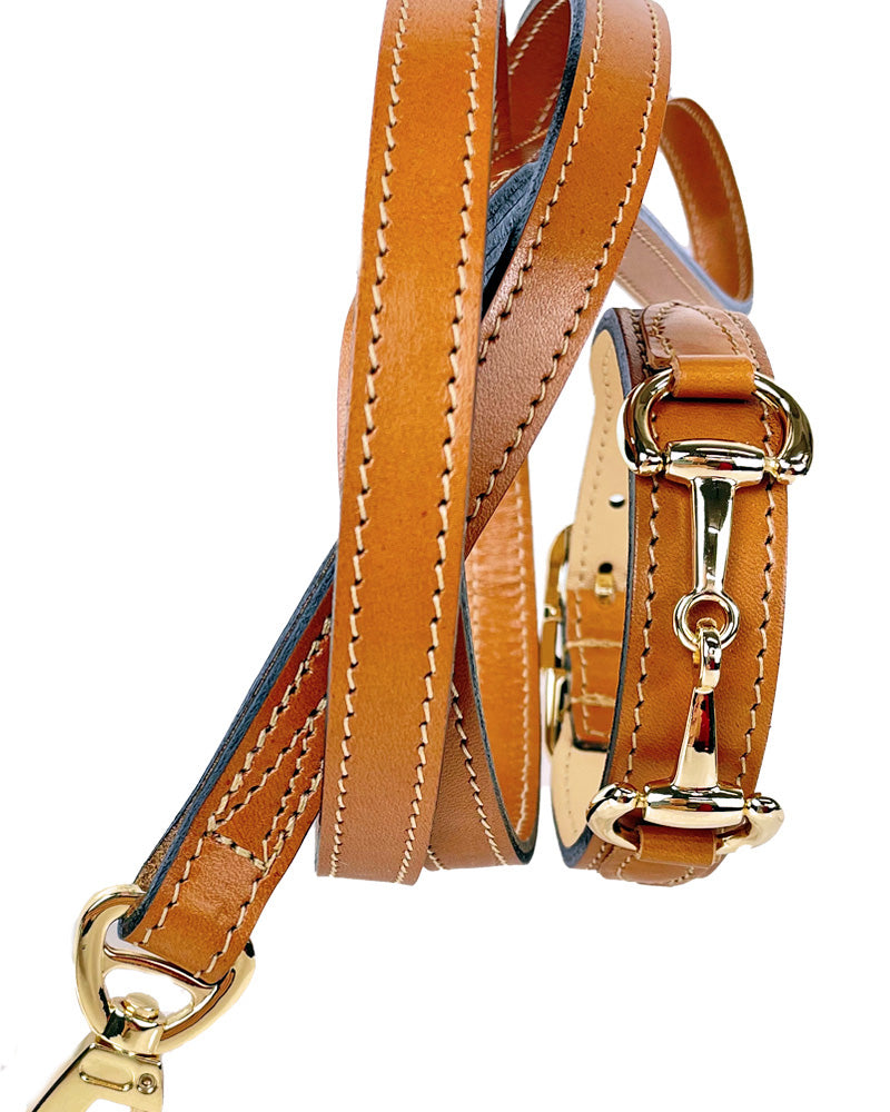 Belmont Luxury Dog Collar and Leash Collection