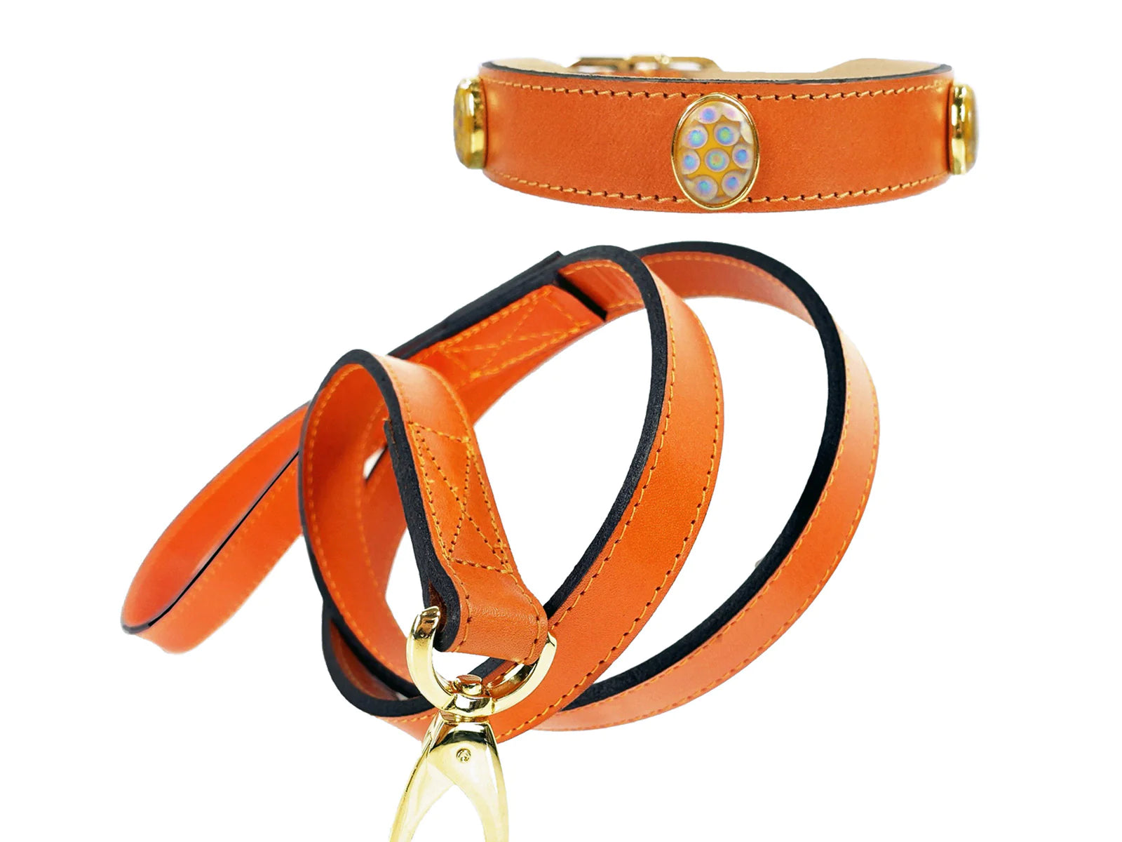 Peacock Luxury Dog Collar and Leash Collection