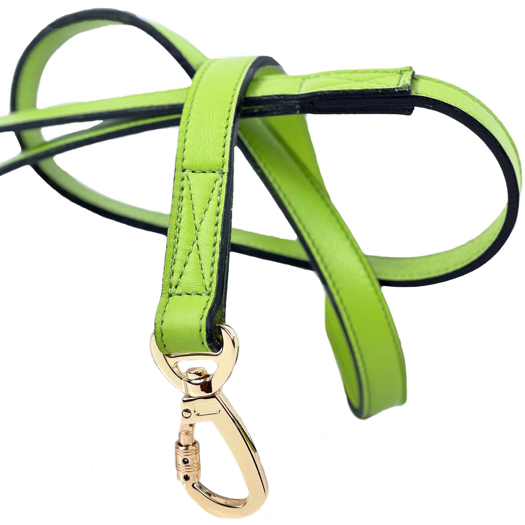 Signature Dog Leash in Lime Green & Gold
