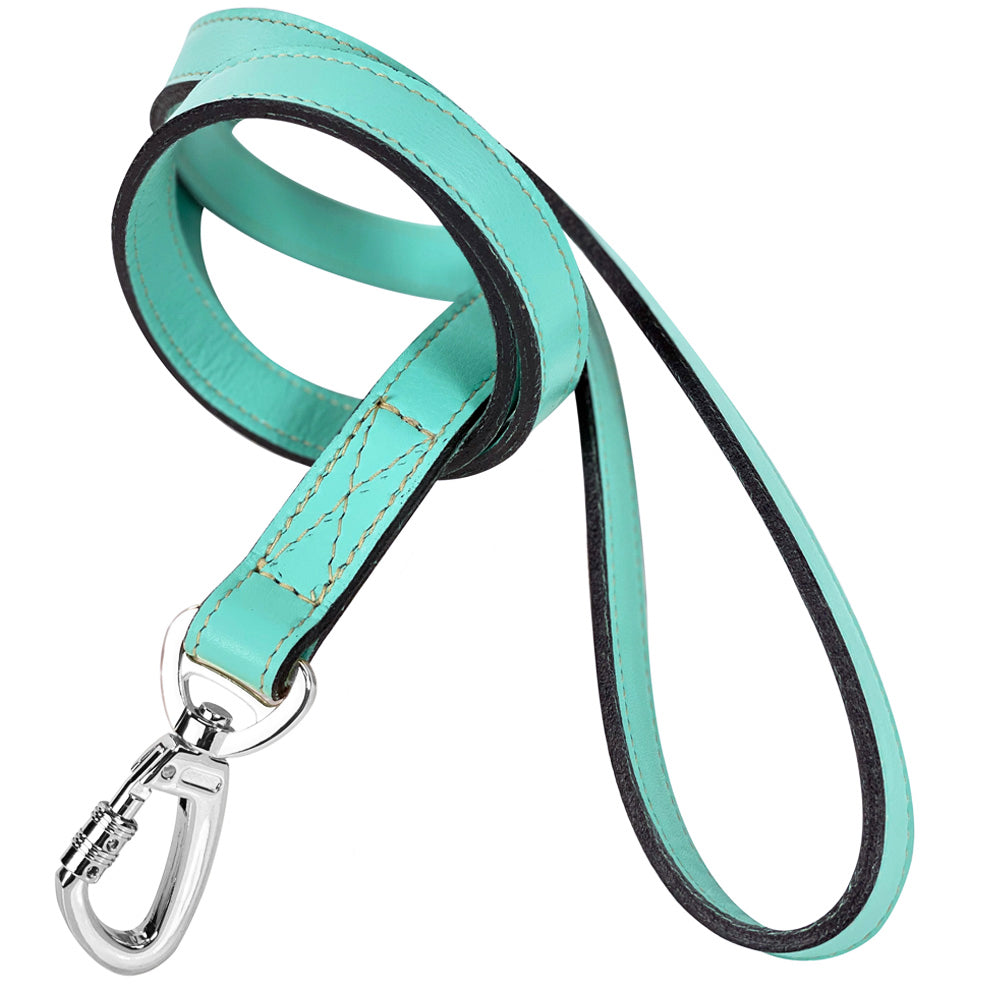 Mayfair Dog Leash in Turquoise & Nickel