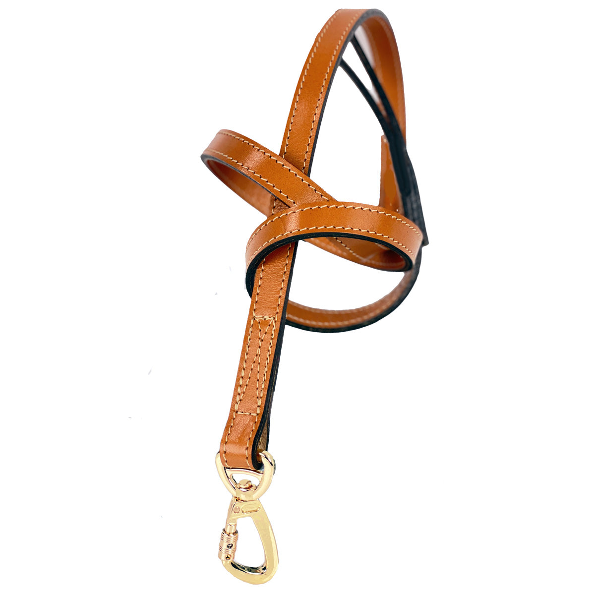 Leap Frog Dog Leash in Tan & Gold