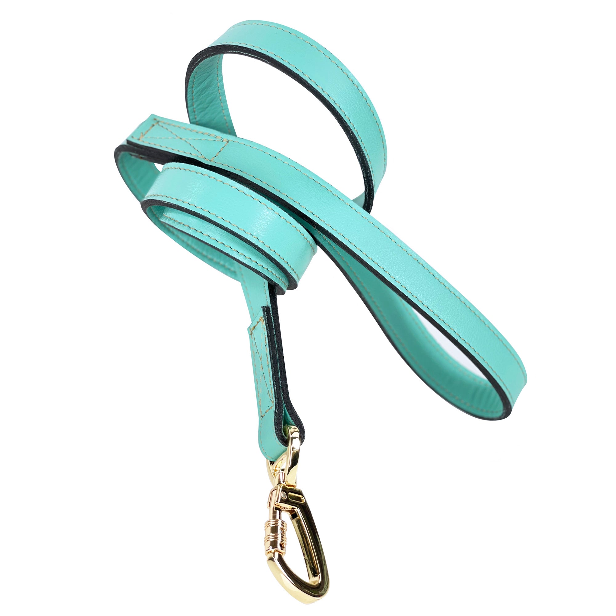 Hugs & Kisses Dog Leash in Turquoise & Gold