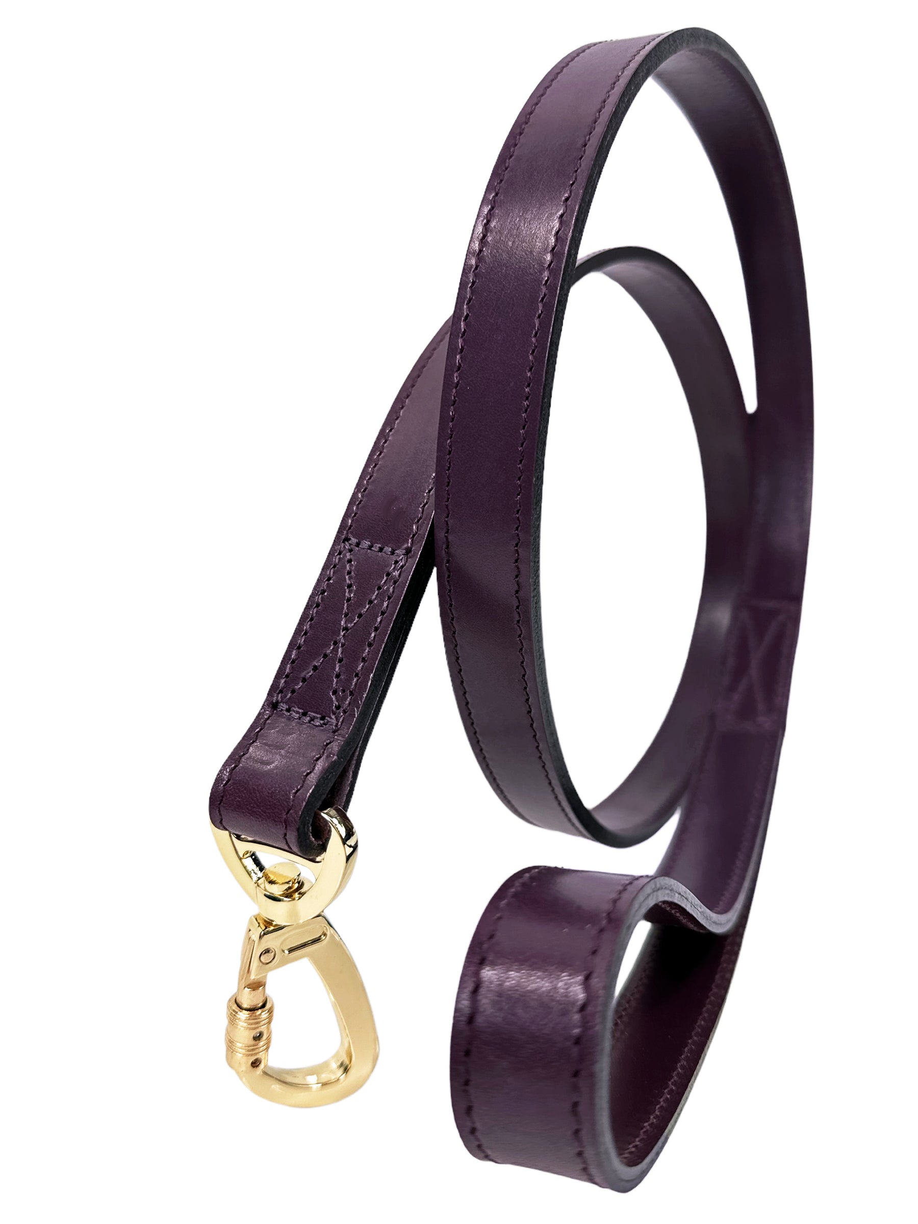Daisy Dog Leash in Royal Purple & Gold