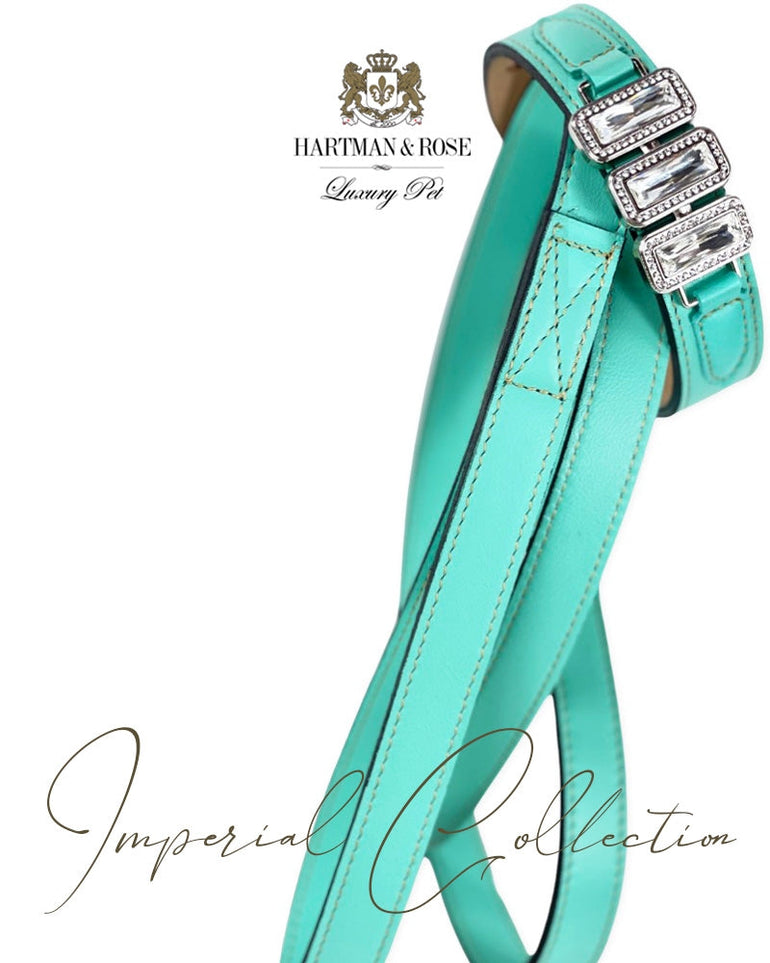 Imperial Collection in Turquoise & Nickel