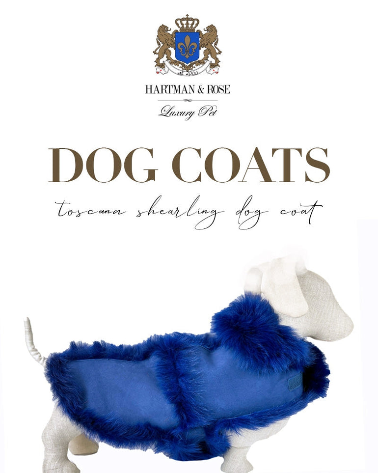 Cobalt Blue Long Haired Shearling Dog Coat